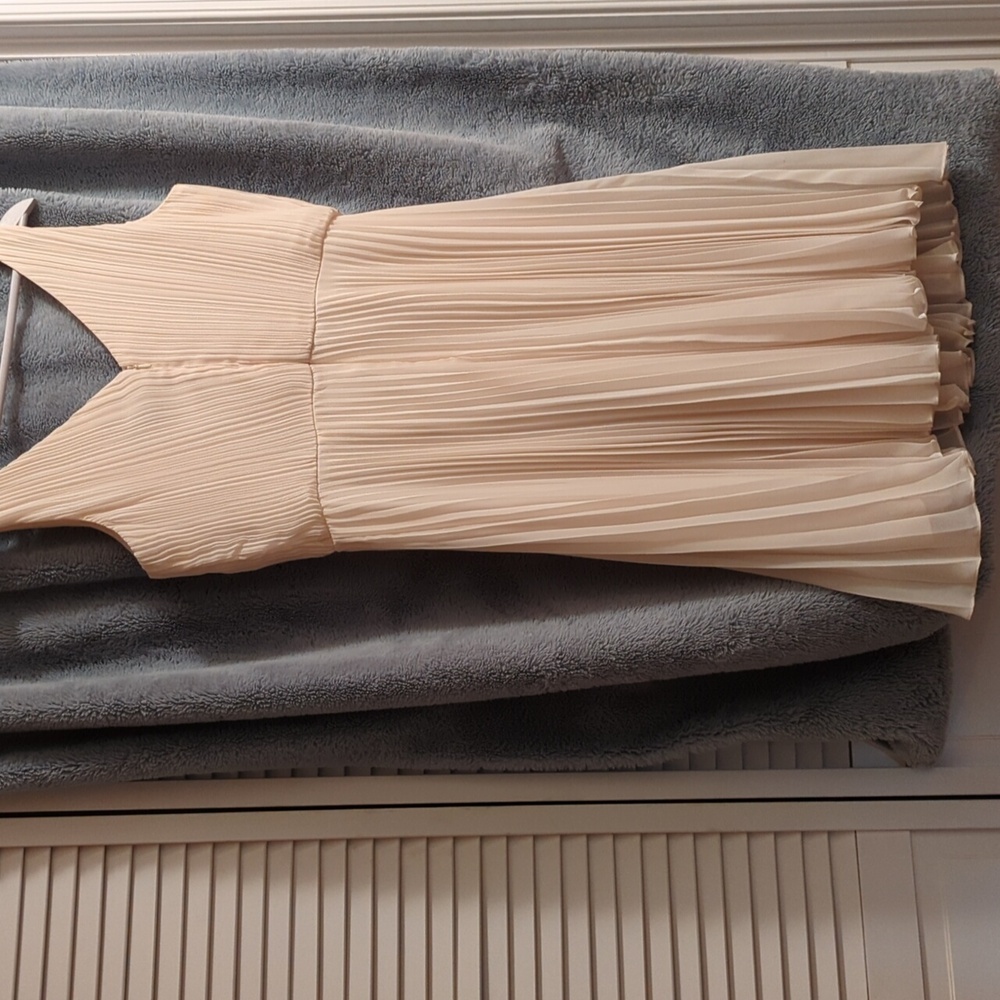 BICE Pleated Dress - Picture 2 of 3